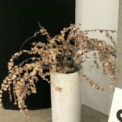 宽甸FurryQQ群介绍